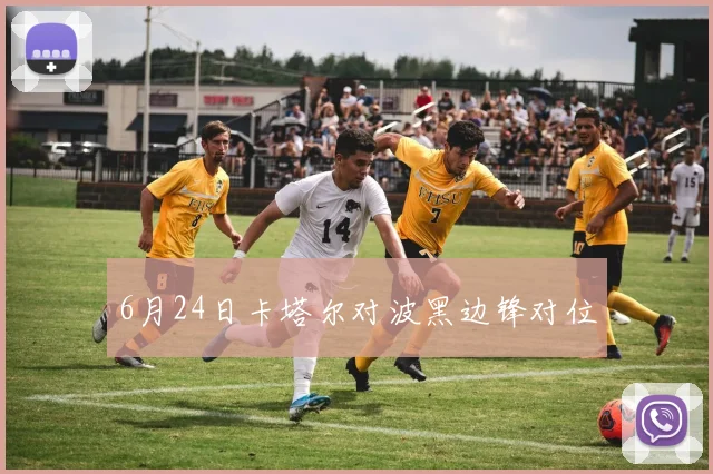 6月24日卡塔尔对波黑边锋对位