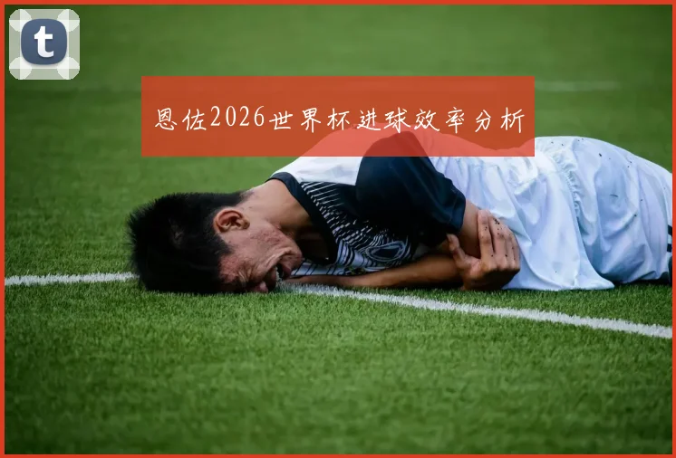 恩佐2026世界杯进球效率分析