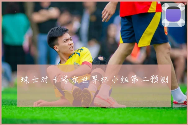 瑞士对卡塔尔世界杯小组第二预测