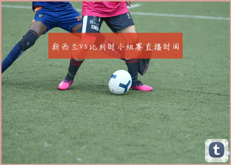 新西兰vs比利时小组赛直播时间