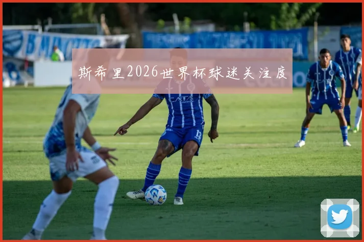 斯希里2026世界杯球迷关注度