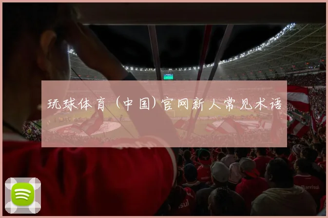 玩球体育 (中国)官网新人常见术语