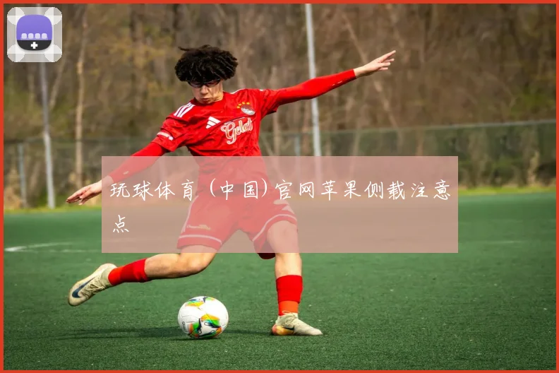 玩球体育 (中国)官网苹果侧载注意点