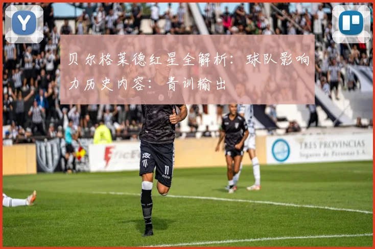 贝尔格莱德红星全解析：球队影响力历史内容：青训输出